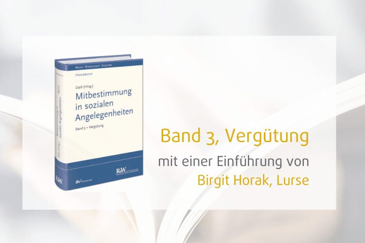 Das neue Buch zur Mitbestimmung in sozialen Angelegenheiten, Band 3, Vergütung