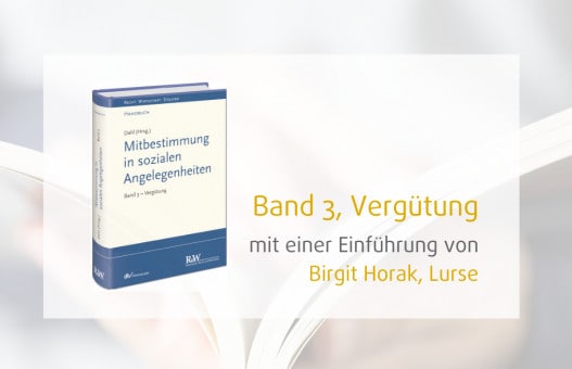 Das neue Buch zur Mitbestimmung in sozialen Angelegenheiten, Band 3, Vergütung